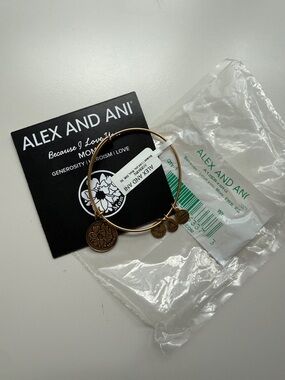 Alex and Ani Gold Charm Bangle Bracelet
